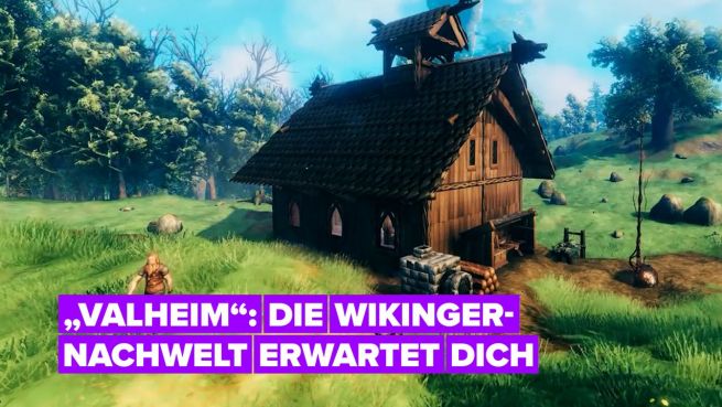 go to Ein Blick auf das Survival-Spiel „Valheim“