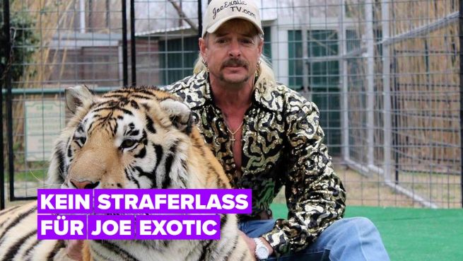 go to Joe Exotic sagt er sei 'zu schwul' um von Trump begnadigt zu werden