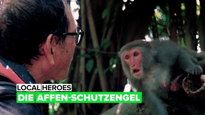 go to Local heroes: Die Affen-Schutzengel